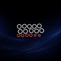 Cynosure Elite / Elite+ Laser Head O-Ring Seal Kit